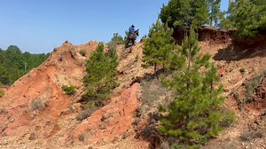 10K views · 247 reactions | Headed out on gaited mules today i am on TANGO IS A 14.1 hand 7 year old gaited john mule .. there is also a 15 hand very well bred 3 year old from a walking horse mare and a gaited jack . Not named just yet .. | Max Bishop | Facebook