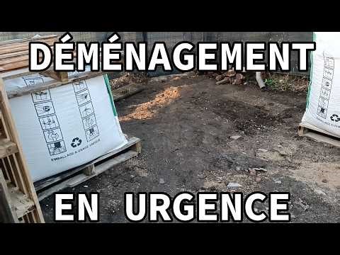 Mini-Maxi-Vlog 10 | Rainy day, happy day!