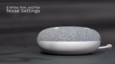 SNOOZ Go - Portable Travel Sound Machine, 6 Sounds, Fan, Pink & White Noise, Rechargeable Bluetooth Speaker, Sleep Aid for Adults, Kids, Office Privacy, Sleeping Essential for Gift Registry - Charcoal