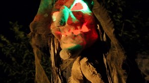 Haunted Hill Farm Life-Size Scary Poseable Pumpkin Witch, Halloween Prop with Touch Activated Lights and Sound, Battery Operated Indoor or Covered Outdoor Halloween Decorations, Spooky Halloween Decor
