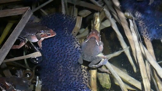 175K views · 1.4K reactions | Rain, rain, come to stay, help...