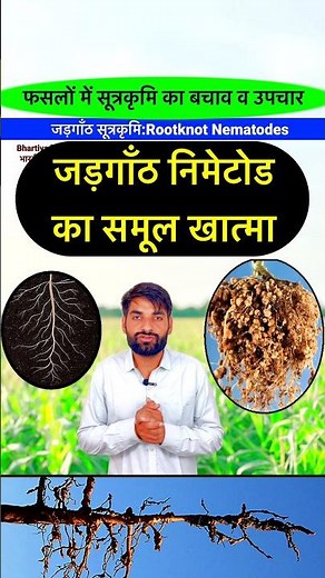 अब निमेटोड्स भागेंगे खेत से दूर | Nematode Control Pesticides | Nimaticide | #bhartiyakisan #shorts