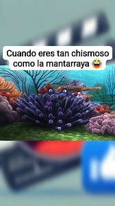 44K views · 725 reactions | Siempre pendiente de los chismes  Buscando a Nemo  #foryoupageシ #clips #reels #humor #series #gracioso #parati #peliculas #disney #BuscandoANemo | Clips divertidos de Series y Más | Facebook