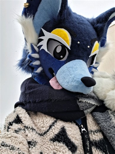 I'm in love with this suit !! Loop is such a Queen ☆ love u all♡ #furry #furryfandom #fursuit #fursuiter #wolffursona