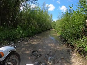 38K views · 506 reactions | Swimming days at Dyatlov Pass, summer '21. Keeping cool in a sidecar @ilya_khait 磊 | Ural Motorcycles | Facebook