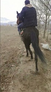 2 января 2026 г.