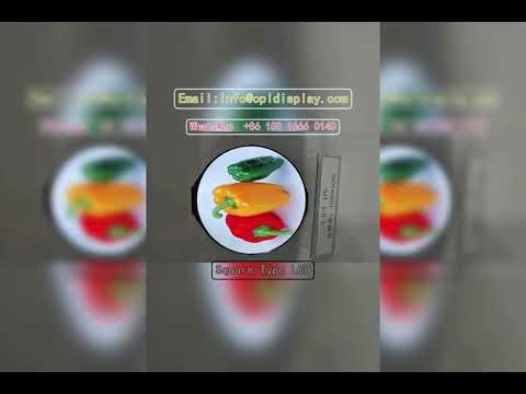 hd portable dvr with 2.5 tft lcd