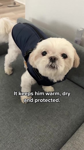 156 reactions | Keep your Furry  friend warm with this Waterproof Winter Dog Jacket❤️ ✓ Built in Harness ✓ WaterProof ✓ WindProof ✓ Warm and Cozy SALE ENDS today!  https://furryking.com/products/furrykingjacket | Furry King Dog Winter Coat | Facebook