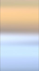 The Southern-Ground Hornbill (aka “Thunderbird”) sharing some food with the young ones. #birding | African Wildlife Photo