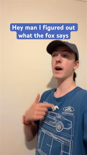 What Does The Fox Say Solved #fox #foxes #whatdoesthefoxsay #funny #meme #trending