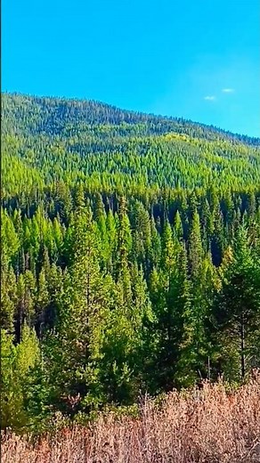 Rambo, UFO's, Sasquatch! Ferry County, Washington