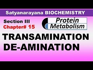 Chp#15 (Part2) Satyanarayana Biochemistry | Transamination & Deamination | Amino Acid Metabolism
