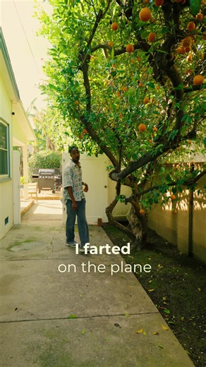 i farted on the plane the couple days ago comment 💨💨💨 if you’ve also been stuck in the paradoxical fart conundrum #explore #fyp #vicmensa #comedy