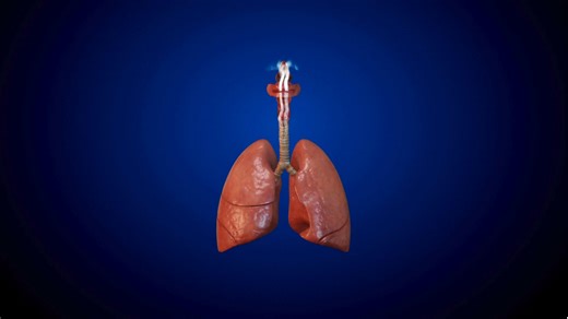 3.2K views · 35 reactions | Progressive Lung Damage From Smoking  | Respiratory Therapy Zone | Facebook