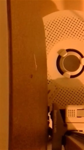 Facehugger Bambu A1 Timelapse