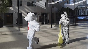 Sandy Bear v. Party Animal. Comment below who YOU think won the Inaugural 1065 Dance Off! #partyon | City of Mobile - Government