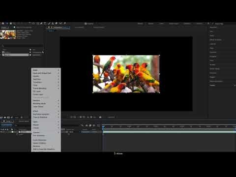 How to Scale to Frame Size in After Effects – AEJuice Tutorials