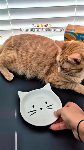 I've tried so many different "healthy" cat foods and finally found one Cookie actually likes!