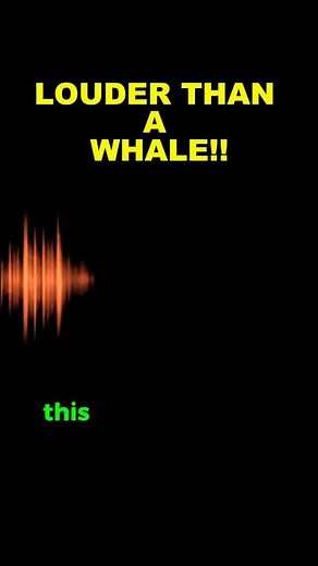 What Was THE BLOOP? The Loudest Sound Ever Recorded Underwater