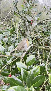 88K views · 10K reactions | Bob’s story Part 1 Here’s the beginning of my friendship with Bob and how and why it all started. I’ll do more of these videos continuing our story and filling in the gaps. | Putman and Robin | Facebook