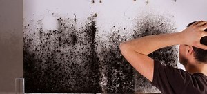 Symptoms of Black Mold Poisoning | DoItYourself.com