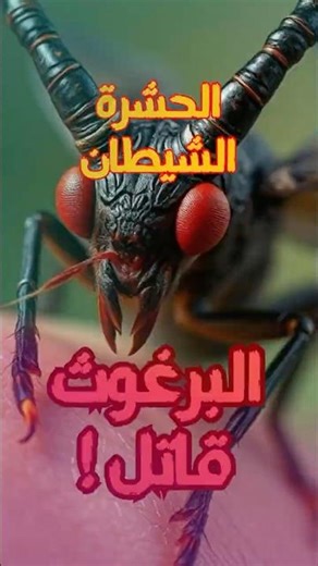 عضة البرغوث كيف قضت على ملايين #اكسبلور #ترند #science #facts #اشتراك #غرائب #البرغوث #البراغيث