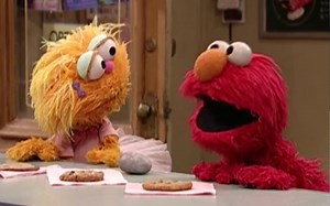 Why Elmo's feud with a pet rock went viral