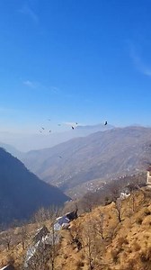 Beautiful view ❤️🥀 | The Peace Path