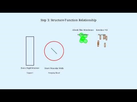 The Fundamental Concepts of Anatomy and Physiology.