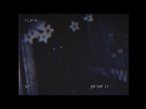 night_5.mp4 [FNaF/VHS]