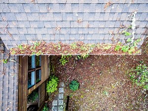 Address Shingle Overhang When You Install a Leaf Gutter Guard