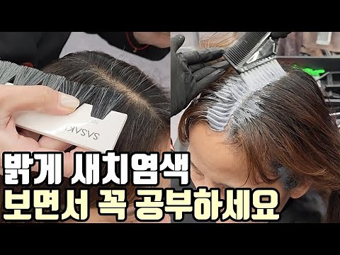 A complete guide to lightening gray hair without redness, taught by a hair dye instructor.