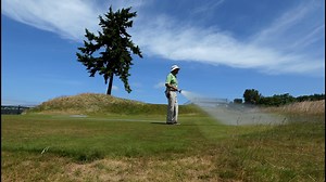 Drought tolerant landscape might be key to state water usage issues