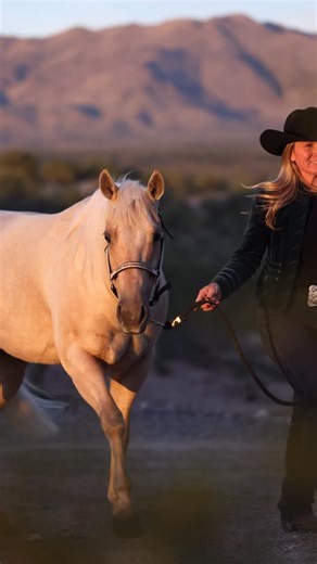 Meet Buttercup. The one everyone asks to ride. Beautiful, kind, and genuinely easy, Buttercup is family friendly, amateur approved, and a joy every time you swing a leg over. An NRHA money earner with a true all around resume, she shines in reining and ranch riding, crosses over seamlessly to trails and ranch work, and rides to her rider’s ability with softness and grace. Smooth at every gait, calm in any terrain, and steady minded from arena lights to mountain trails. Offered by Turner Performa
