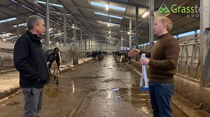 Part 4 with Gary from ElectroMech Agri. Here we discuss the drafting & handling facilities, cubicle shed, calving area and the BouMatic collars. O' Donovan Engineering Missed part 1,2 or 3 see: Part 1: https://fb.watch/2Qkumd6lDY/ Part 2: https://fb.watch/2QkqbE0u3n/ Part 3: https://fb.watch/2SOu2hQtTz/ | Grasstec