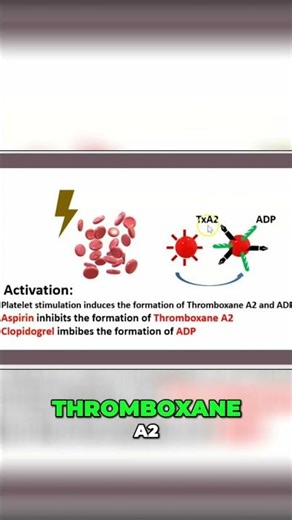 2-Minute Syndrome of Glanzmann thrombasthenia. #shorts