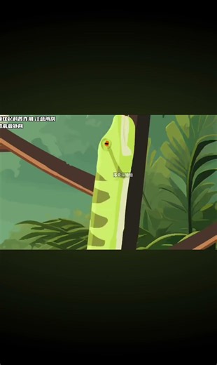 anaconda vs python