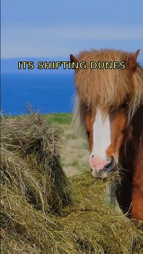 Sable Island, The Shifting Graveyard