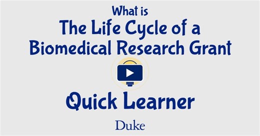 Quick Learner: What Is The Life Cycle of a Biomedical Research Grant | Duke Today