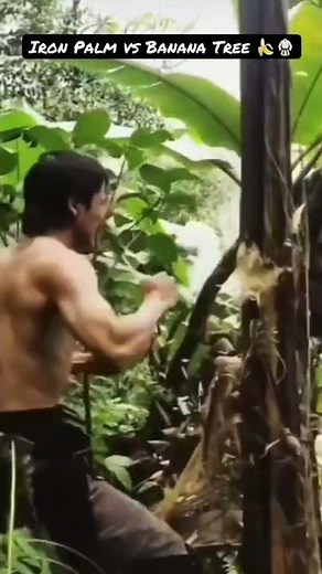Iron Fist vs Banana Tree 🥋🍌