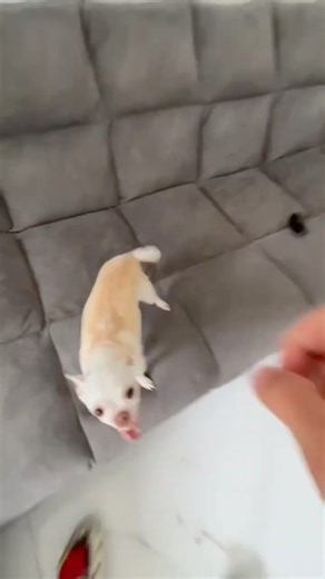 Funniest Things Happened By Mistake