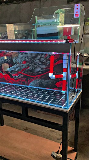 bajet 2 jt an udh dpt paket lengkap seganteng ini 🥰 #aquarium #aquariumfish #aquariumhobby #ikanpredator #ikanhias