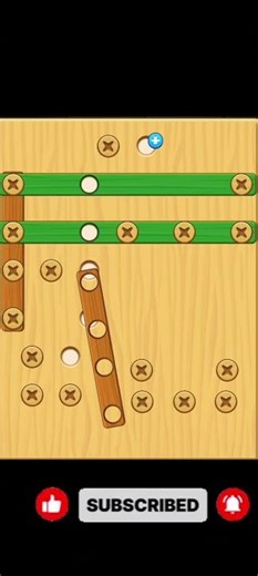 This Screw Puzzle Breaks Everyone's Brain #puzzle #challenge #shorts