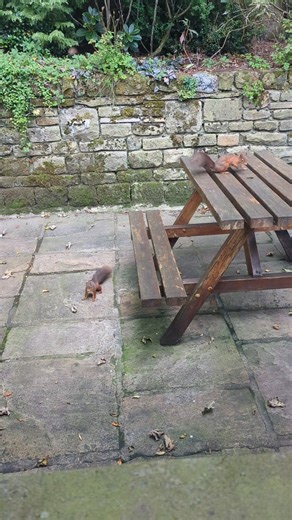 Mark Elliott on Reels