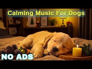 12 Hours Healing Dog Music ❤️ Relaxation Music for Dogs 🎵 Calming Piano Music🎹Dog Music To Calm Them