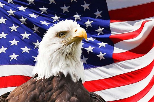11 reasons why America is the land of the free