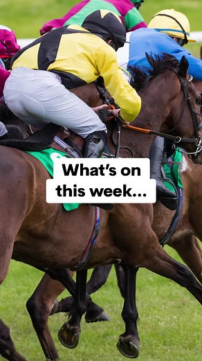 6.2K views |  Note to self: DO NOT miss this week's offers on Profit...