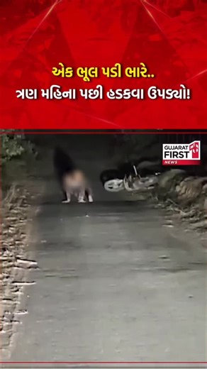 Instagram video by rajput garasiya • Jan 31, 2026 at 5:13 AM