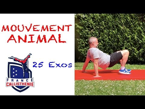 Mouvement animal : 25 exercices fonctionnels et ludiques en callisthénie
