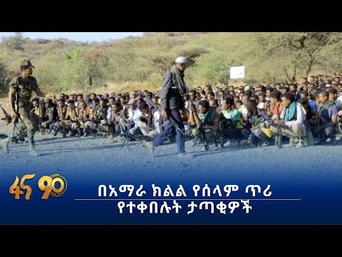 በአማራ ክልል የሰላም ጥሪ የተቀበሉት ታጣቂዎች